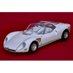 1/12 Full Detail Kit: Alfa Romeo Tipo33 Stradale
