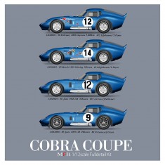 1/12 Cobra Coupe #CSX2601 1965 Daytona/Sebring/LM #CSX2286 1965 LM