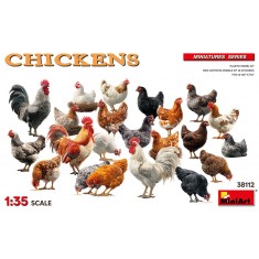 1/35 Chickens