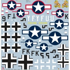 1/48 BEETLE in captivity - Republic P-47 Thunderbolt in German hands, captured P-47D-2-RE (42-224 90) (decal)