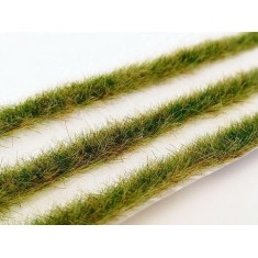 Long Grass Strips - Late Summer