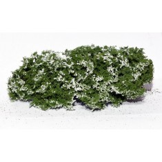 Fine Bushes Flowering Shrubs - White