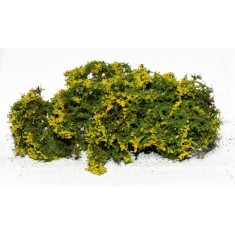 Fine Bushes Flowering Shrubs - Yellow