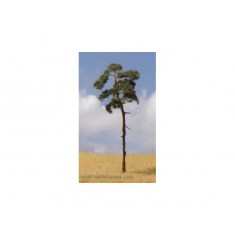 Pine Tree 80x110mm (3pcs)
