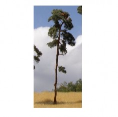 Pine Tree 130-170mm (3pcs)