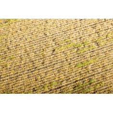 [Argo-Line] Grass Mat - Stubble Field (Size: 18x28cm)