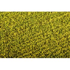 [Argo-Line] Grass Mat - Rape Field (Size: 18x28cm)