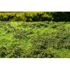 [Premium Line] Grass Mat - Low Bushes, Spring (Size: 18x28cm / 7"x11")