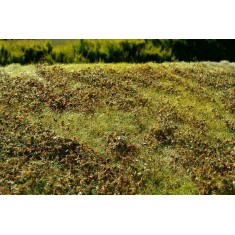 [Premium Line] Grass Mat - Low Bushes, Autumn Colour (Size: 18x28cm / 7