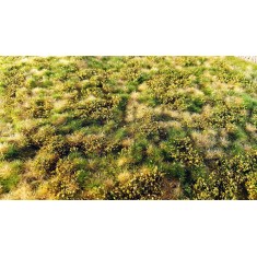 Grass Mat - Spring Meadow with Bushes & Dry Turfs (18 x 28 cm)