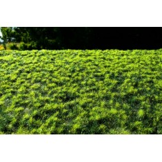 Small Mixture Grass Turfs (Size of Sheet: 18x28cm, Grass: 2mm)