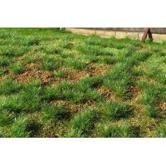 [Premium Line] Grass Mat - Steppe Green (Early Summer) (Size: 18x28cm / 7"x11")