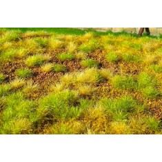 Minipack Steppe Unwatered Late Summer