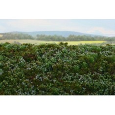 Grass Mat - Blueberries Mini Pack (Size: 13 x 17 cm)