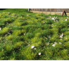 Grass Mat w/Little Calc Stones - Early Summer (Size: 18 x 28 cm)