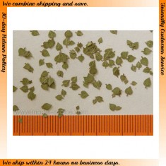 1/32, 1/35 Lime Leaves - Green (100pcs)