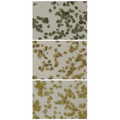 1/32, 1/35 Birch Leaves - 3 Colours set (240pcs)