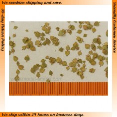 1/45, 1/48 Lime Leaves - Extra Colours, Autumn (100pcs)