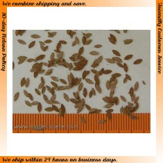 1/45, 1/48 Universal Leaves - Extra Colours, Autumn (160pcs)