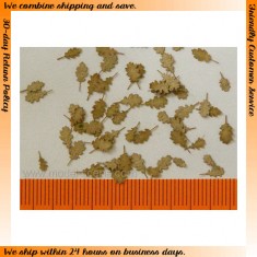 1/45, 1/48 Oak Leaves - Dry (80pcs)