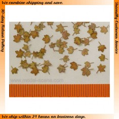 1/72, 1/87 Maple Leaves - Extra Colours, Autumn