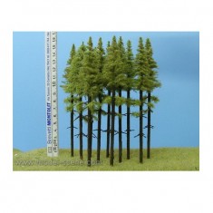 Larches with Trunk 140-160mm (5pcs)