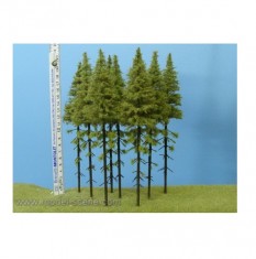 Larches with Trunk 180-220mm (5pcs)