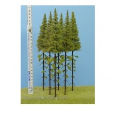 Larches with Trunk 230-270mm (5pcs)