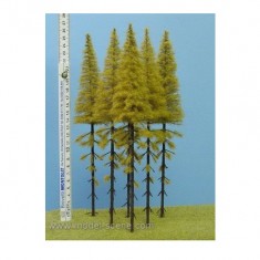 Larches with Trunk - Autumn 230-270mm (5pcs)