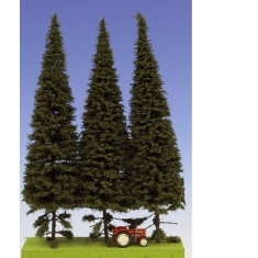 Spruce with Short Trunk 230-270mm (3pcs)