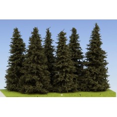 1/32, 1/35 90-110mm Spruce (6pcs)