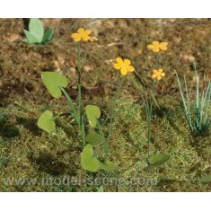 1/45, 1/48 Marsh Marigold (6 Laser-cut Paper Sheets)