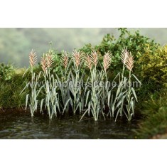 1/48 Reeds