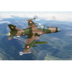 1/72 Indonesian AF Hawk 209 Light Fighter