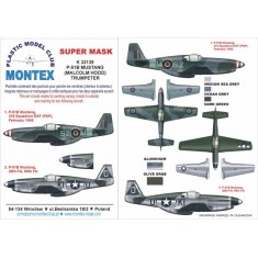 1/32 P-51 Mustang III (RAF,USAAF) Paint Mask for Trumpeter (Canopy Masks + Insignia Masks)