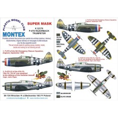 1/32 P-47D Razorback Paint Mask Vol.1 for Trumpeter (Canopy Masks+Insignia Masks+Decals)
