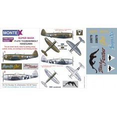 1/32 Republic P-47D Thunderbolt Paint Mask for Hasegawa kit (Insignia&Canopy Masks+Decals)
