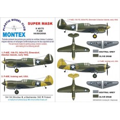1/48 P-40E Paint Mask Vol.2 for Hasegawa (Canopy Masks + Insignia Masks)