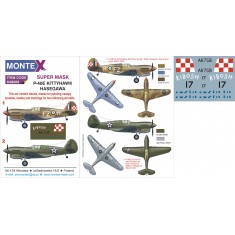 1/48 Curtiss P-40E Kittyhawk Paint Mask for Hasegawa (Insignia&Canopy Masks+Decals)