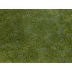 Groundcover Foliage Dark Green (12 x 18 cm)