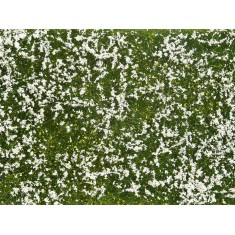 Groundcover Foliage Meadow White (12 x 18 cm)