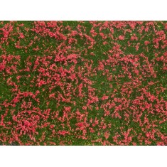 Groundcover Foliage Meadow Red (12 x 18 cm)