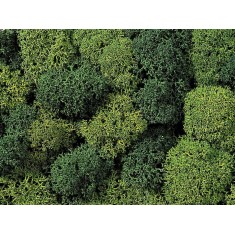 Lichen (green mix, 35g) For G,O,HO,HOE,HOM,TT,N,Z Scale