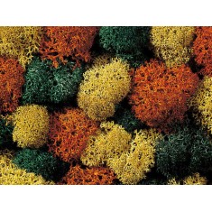 Lichen (autumn mix, 35g) For G,O,HO,HOE,HOM,TT,N,Z Scale
