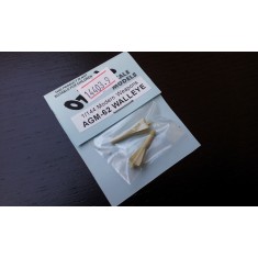 1/144 AGM-62 Walleye (2 per pack)