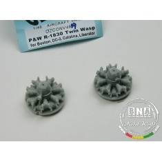 1/48 P&W R-1830 Twin Wasp Radial (2 per pack)