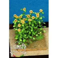 1/48 Sunflower - Paper Plant kit