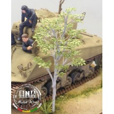 1/35 White Birch - Paper Plant kit