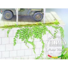 1/35 Ivy - Paper Plant kit
