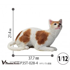 1/12 Cats For Cat Lovers Type 4